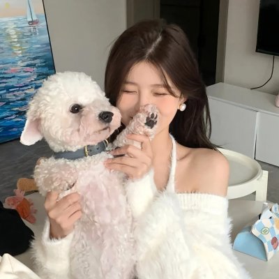 北极征熊记
